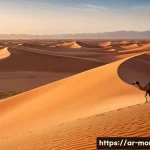 모로코에서 영화 촬영지 방문 - A vast cinematic desert landscape in the Moroccan Sahara, featuring endless golden sand dunes under ...